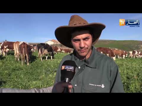 , title : 'البويرة: عائلة زناغي تناشد السلطات لإنقاذ مهنة تربية الأبقار'