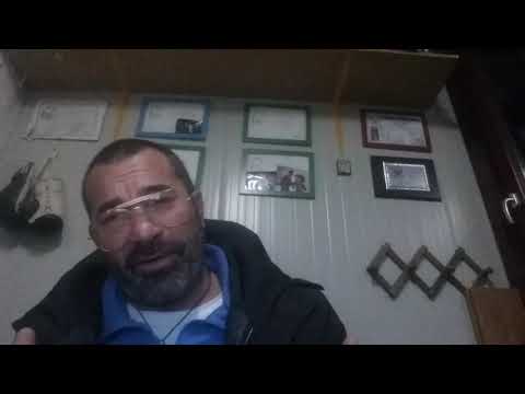 La seconda Califano Stifani