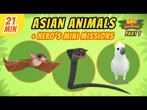 Asian Animals (Part 7/7) - Junior Rangers and Hero's Animals Adventure | Leo the Wildlife Ranger