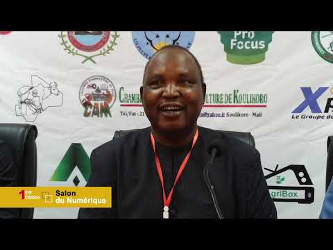 Mali , premier salon du numérique à Koulikoro