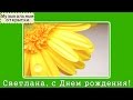 Музыкальная открытка. Светлана, с Днем рождения! 