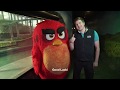 WIN The Chance To Be A Bird Keeper