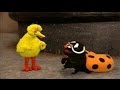 Sesame Street Episode 4098 S36 E16