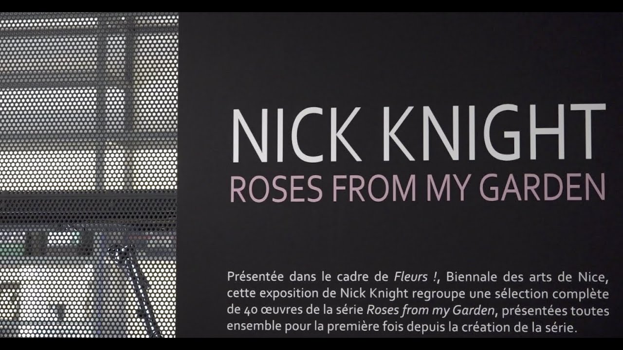 Biennale des Arts de Nice - Expo Nick Knight
