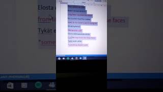 From Finnish to English: Stam1na - Erilaisen Rakkauden Todistaja (both versions)