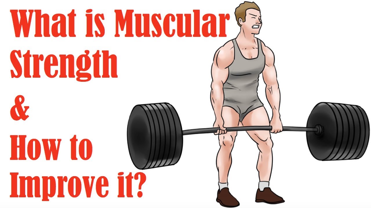 1.  What is Muscular Strength and How to Improve It