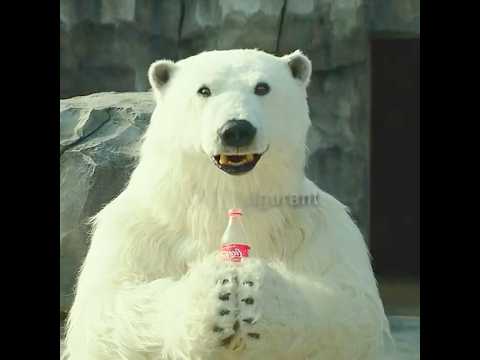 Il n'y a pas un seul animal dans ce zoo.#cinéma #film #courts #commentaires