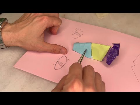 Anatomy of the Nose for Rhinoplasty Explained by Dr. Z