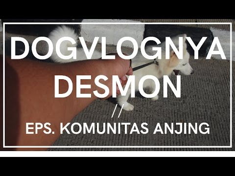 Desmon_Saragi’s Video 137366518383 -N_UVMFzJ64