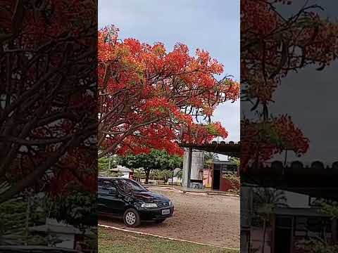 Rodoviária de Água fria do Goiás