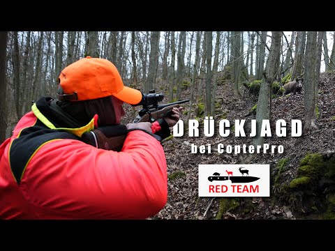 Schwein gehabt auf Drückjagd | Hundeführer- und  Schützenperspektive (Jagd 2025)