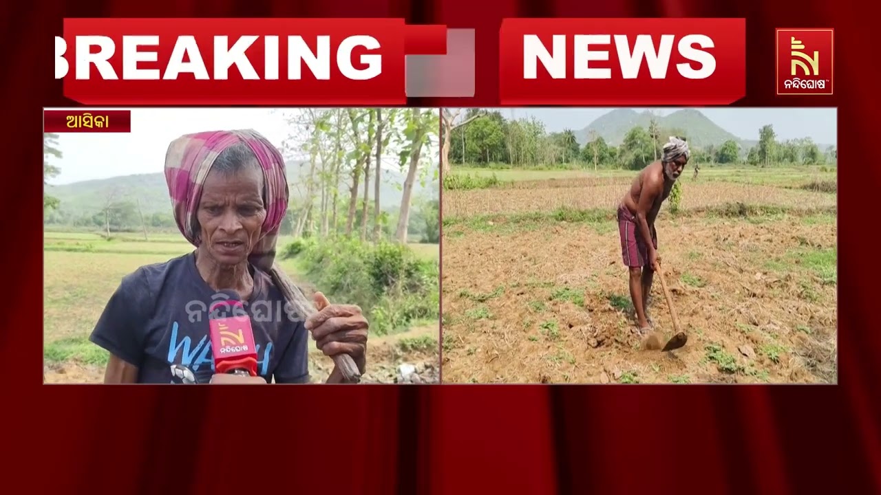 ଗାଁ ଗହଳରେ ନାହିଁ ପୂର୍ବ ପରି ସେପରି ଅକ୍ଷୟ ତୃତୀୟାର ଉତ୍ସାହ