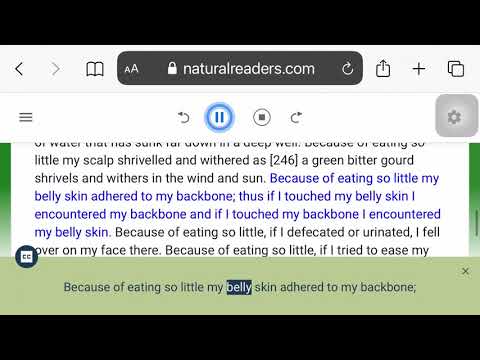 36. Mahāsaccaka Sutta - The Greater Discourse to Saccaka (part 3/4)