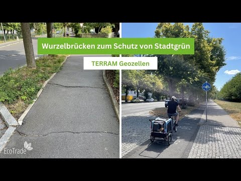 Wurzelbrücken mit TERRAM Geozellen - Schutz von Stadtgrün