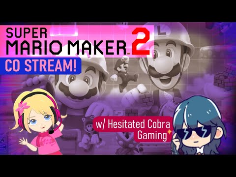 Super Mario Maker 2 Multiplayer & Viewer Levels | Collab Live Stream w/ Hesitated Cobra Gaming