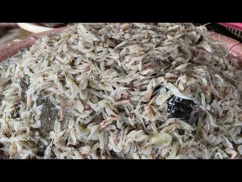 CAMBODIAN MARKET FOOD TOUR, FOODS LIFESTYLE AND PEOPLE ACTIVITIES