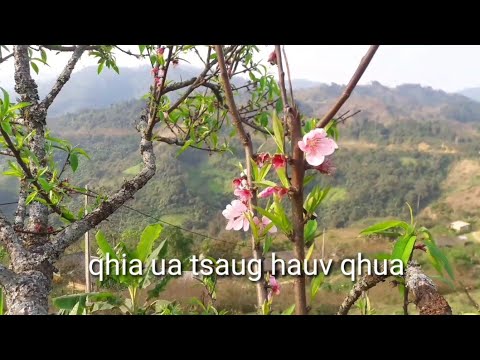 qhia ua tsaug hauv qhua yus yog tus sab nrauv