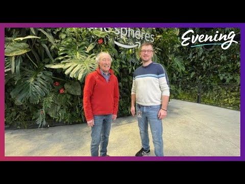 Tour the Amazon Spheres in Seattle where it's summer 365 days a year