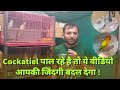 Cockatiel Mutation में काम करना है तो ये वीडियो का�