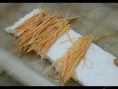 LG 503D ginger cutter 2 0