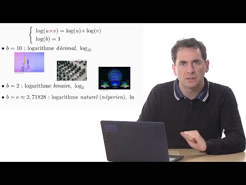 Magnifiques logarithmes (Benoit Rittaud)