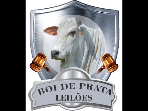 Leilão Presencial e Virtual - Iturama MG