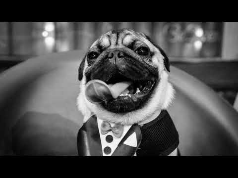 Glücklich - Boris Brejcha | Eelke Kleijn | Ruede Hagelstein | Indie Dance - mixed by dj shine