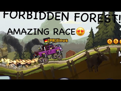 AMAZING RACE daily challenge forbidden forest - hcr2