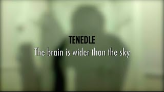 Tenedle - The brain is wider than the sky - Album Odd to love A tribute to Emily Dickinson