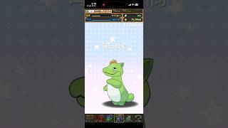 ガチャpart1776【2026/9/26】#パズドラ #毎日投稿