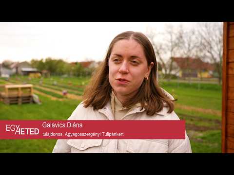 Egyheted – közéleti magazin – 2026.04.16.– Csütörtök