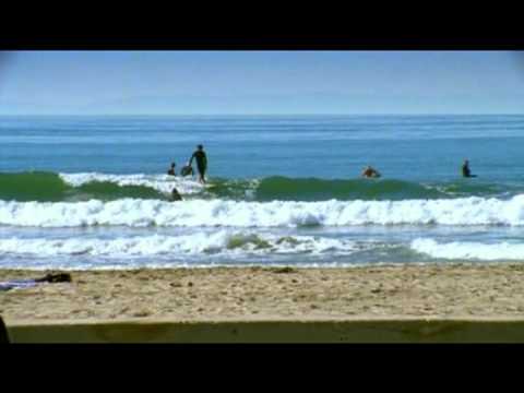 ALEX KNOST "Logging King"