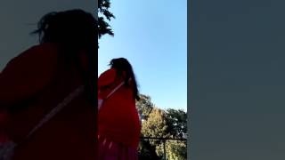 Una castagna rovina video divertente