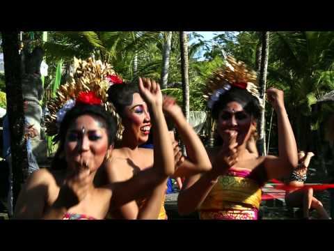 Kokolato "GO FUND ME"