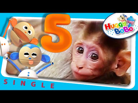 Five Little Monkeys | 3D Animation PLUS Real Live Animals | Nursery Rhymes | By HuggyBoBo