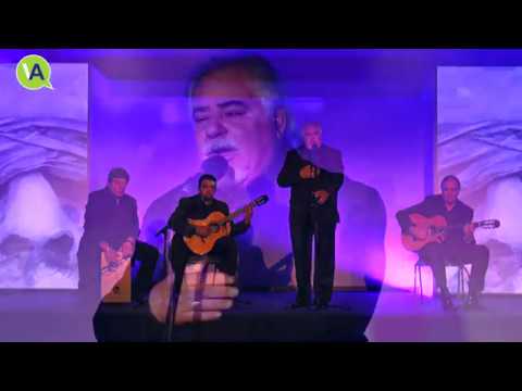 Antología - Vieja Viola