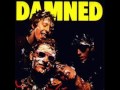 The Damned - Feel The Pain