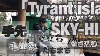 SKY-HI「Tyrant island」「Turn up」 a cappella cover  ver. Rocket-H in 経塚山さくらまつり[リリック動画]
