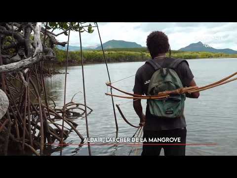 WAGÉÉRI - Aldaïr, the archer of the mangrove