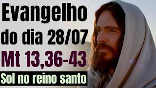 Evangelho do dia com reflexão, Terça-feira 28/07, Mt 13,36-43
