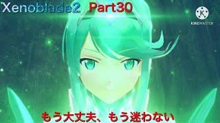 【初見】Xenoblade2実況part30  もう大丈夫、もう迷わない