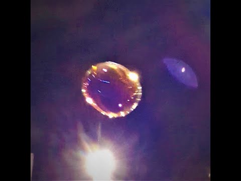 Aluf Haolam (World Champion) by Hanan ben Ari