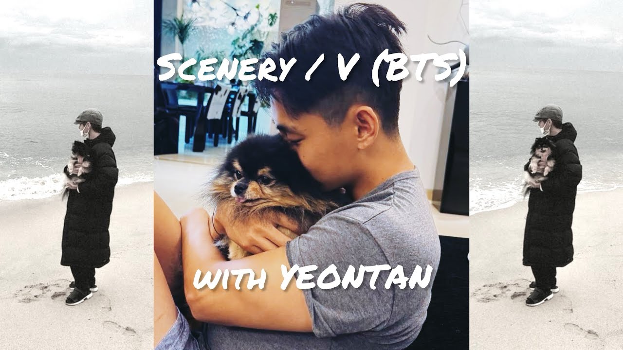 【FMV】Scenery / V with YEONTAN 日本語訳付き