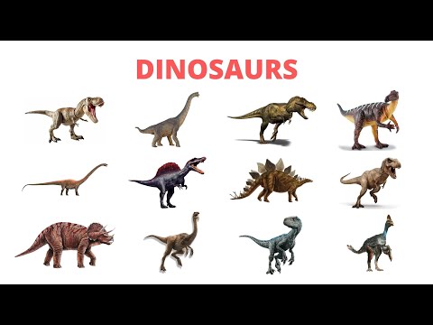 Dinosaurs  - Facts & Characteristics - Quiz