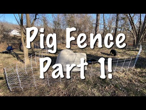 Premier 1 Pig Fence- Part 1 | Electric Fencing for Pigs