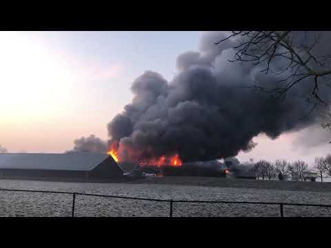 Brand kippenschuur woudenberg 30.000 kippen omgekomen