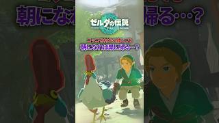 カカリコ村のコッコを遠くへ連れて行って朝にすると....?#ゼルダの伝説 #ティアキン #shorts