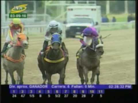 Resumen Sábado, 03 de Septiembre de 2016 - La Rinconada