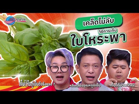 คลิกเพื่อดูคลิปวิดีโอ