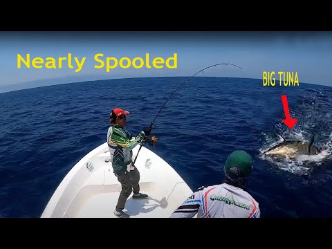 This Yellowfin Tuna Nearly Spooled Me!